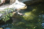 DSC_6931.JPG